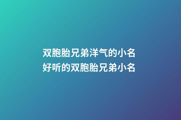 双胞胎兄弟洋气的小名 好听的双胞胎兄弟小名